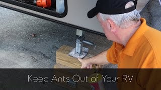 Keep Ants Out of Your RV