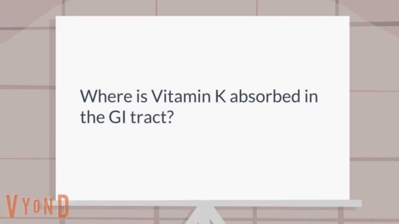 Where is Vitamin K absorbed in the GI tract? YouTube