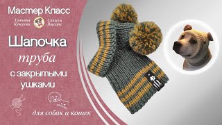 картинка: Шапочка с помпоном для собак, вязание спицами,  hat for dogs