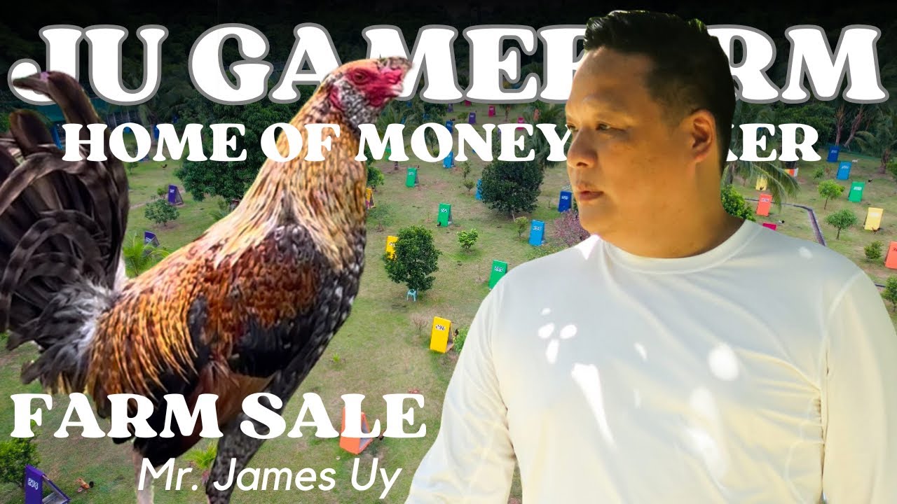 SALE SA JU GAMEFARM DINAYO NG MGA TAO | SOLD OUT AGAD | LAHAT NG LINYADA NAKA-SALE | VLG-166