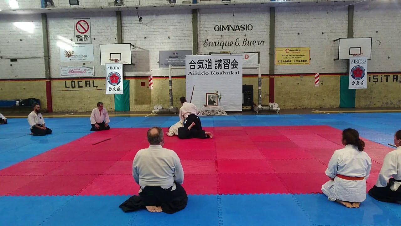 Aikido Koshukai 2019 - Alberto Daiber - YouTube