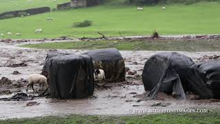 Holme Farm Arkengarthdale Floods 30th July 2019