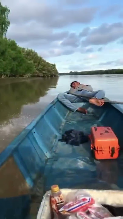 Oleng Dikit Jadi Santapan Buaya Raksasa | #Shorts