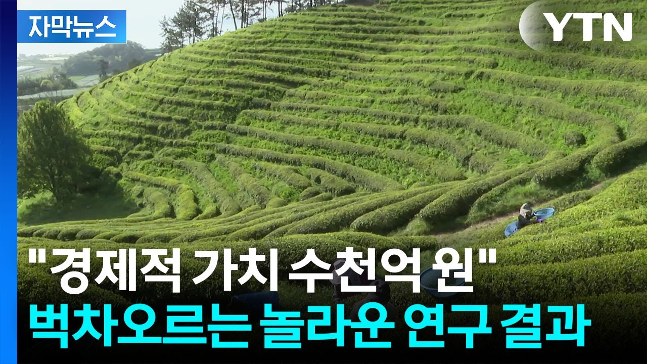 [자막뉴스] CNN도 놀랐던 한국의 명소...놀라운 가치 터졌다 / YTN