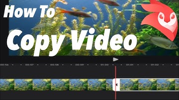 How To Duplicate Videeo| Videoleap Tutorial