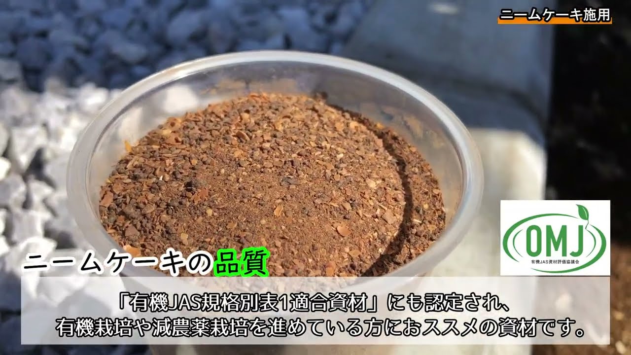 ダイコーニームケーキ使用方法 Youtube