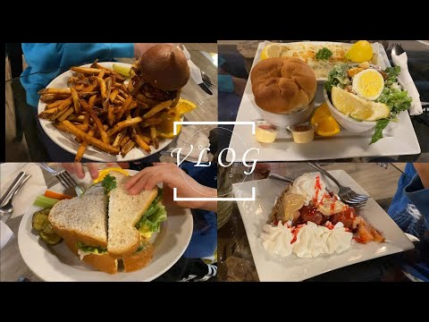 [VLOG] 힐링만땅  숲속의 나무집, 小木屋之旅 힐링브이로그! 캐나다거주 조선족가족의 일상!