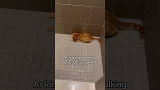 Cat Farts Caught On Camera