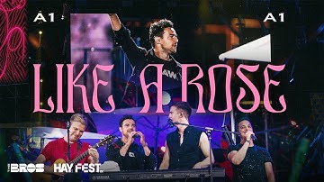 LIKE A ROSE - @a1BandOfficial live at #HAYFEST