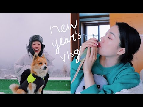 #188 Vlog I 새해 I 덕질 브이로그 I 책 추천 I 눈❄️☃️I 김갈릭