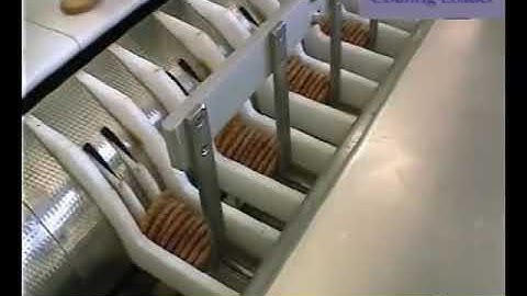 Paxon Packaging biscuit handling, wrapping and cartoning system