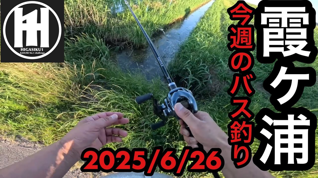 バス釣り今週の霞ヶ浦！霞ファンフェスタの余韻が無くなる前に‥2025年6月26日