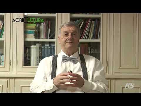 AGRICULTURA VENETA  | 19/03/2023