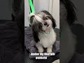 Just a few cute ....