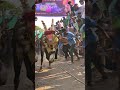 mr. White🤍💥🔱🥵 #erthukattu #jallikattu #bull #l#followme #love #comment #subscribe #officialaccounts