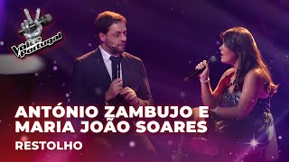 António Zambujo e Maria João Soares - "Restolho" | Gala | The Voice Portugal 2023