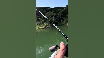 #fishing #fish #shortvideo #cauca