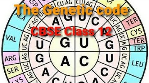 MOLECULAR BASIS OF INHERITANCE - PART 8 (CBSE CLASS 12)
