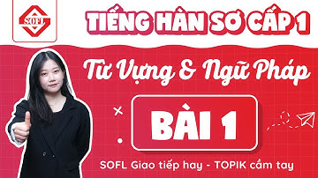 BÀI 1 TỪ VỰNG - NGỮ PHÁP TIẾNG HÀN TỔNG HỢP SƠ CẤP 1 | HỌC TIẾNG HÀN ONLINE MIỄN PHÍ