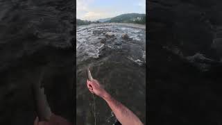Fish Catch in Clear River | Cast Net Fishing 🎣💎🔥 #fishing #netfishing #riverfishing #foryou