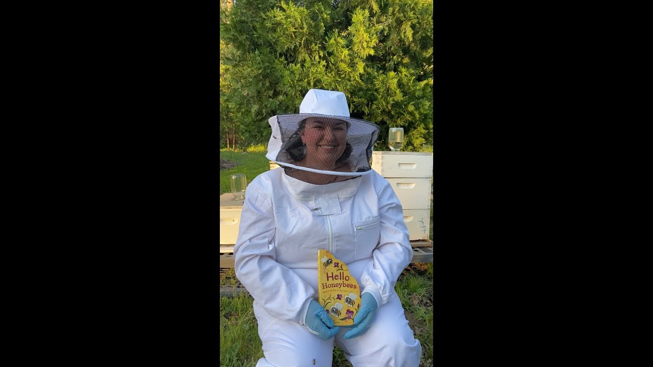 Hello Honeybees Read and play in the hive!