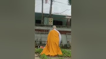 Sư Cô Đảnh Lễ Sư Minh Tuệ.