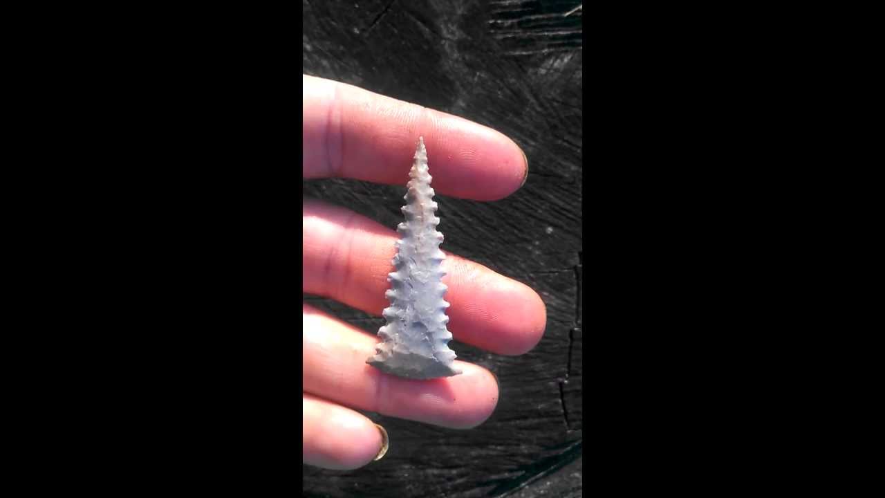 Two Toned Blue Ohioan Fort Ancient