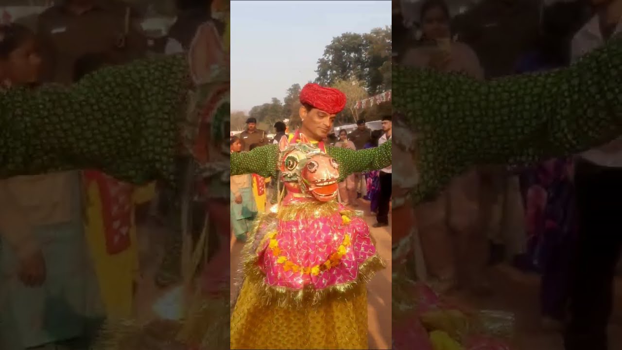 Rose festival Chandigarh