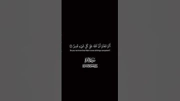#quran #سورة_البقرة #قرآن #ياسر_الدوسري