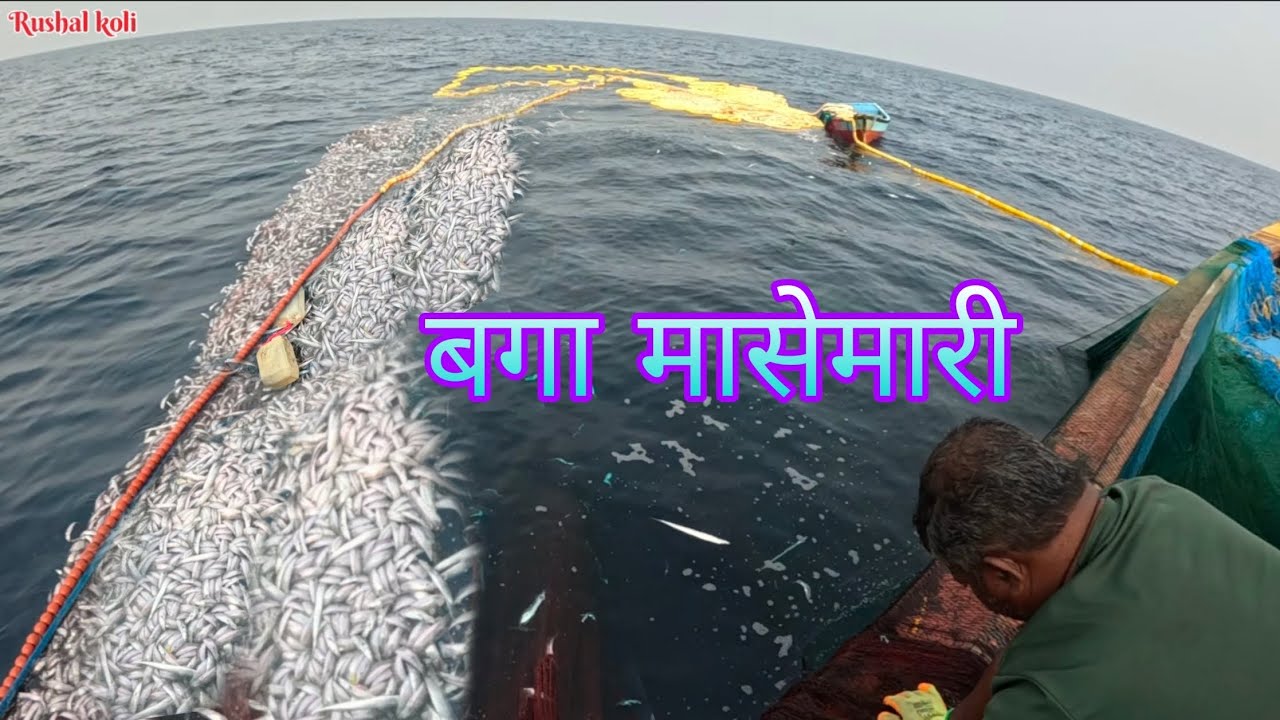 खोल समुद्रात 12 दिवस फिशिंग केली आणि भेटला 8 टन बला मासा || एका रापनित काम 25 😍🐟🐠