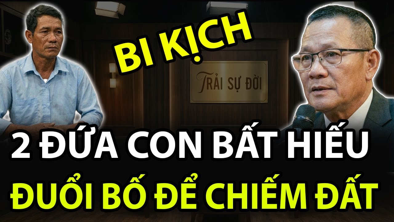 Tâm Sự Cùng Văn Sâm : Anh Em Tranh Đất Khi Cha Chưa Nhắm Mắt Và Bi Kịch Quả Báo Nhãn Tiền