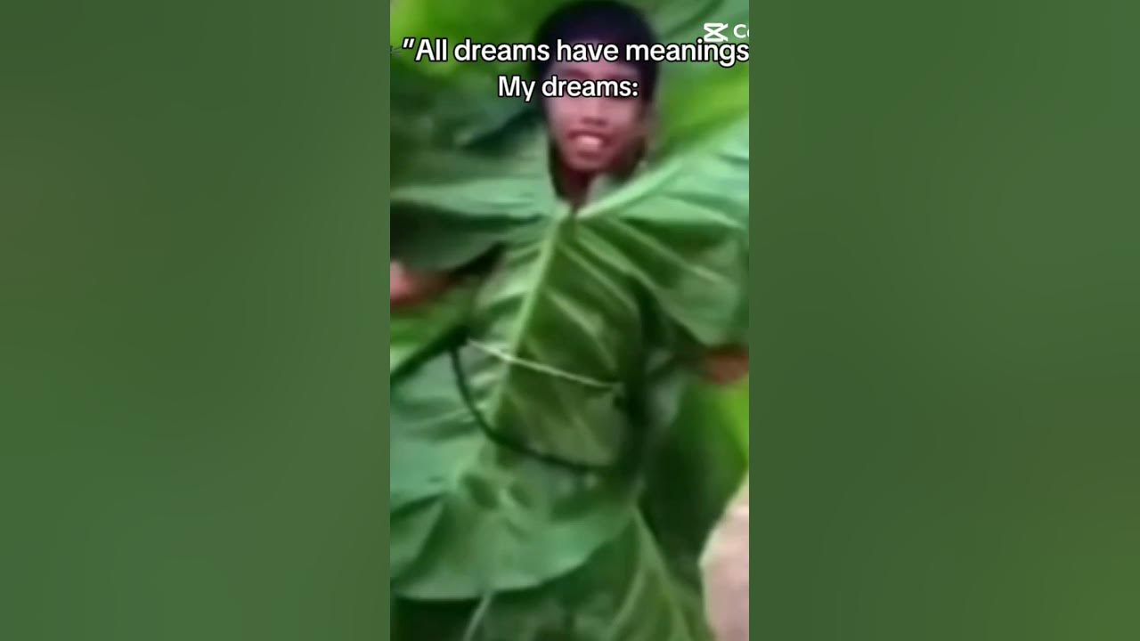 All dreams have meanings expect for mineππ #manifestedit #dream #jiafei #jiafeiremix 26 All dreams have meanings expect for mineππ #manifestedit #dream #jiafei #jiafeiremix 26