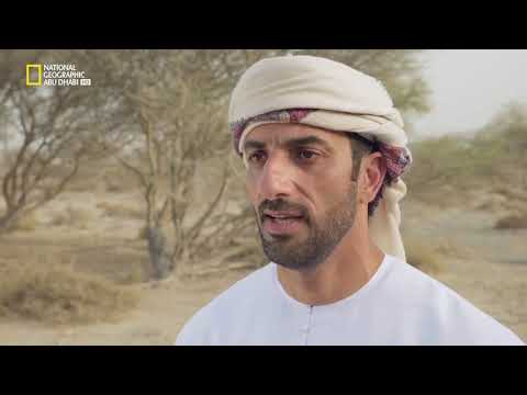 مركز الحفي ة الحلقة الكاملة ناشونال جيوغرافيك أبوظبي