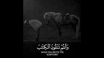 قراءة هادئة من سورة البقرة بصوت القارئ عبدالرحمن مسعد 🍁