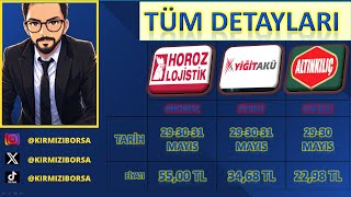 Yi̇ği̇t Akü , Horoz Loji̇sti̇k, Altinkiliç Halka Arzlari