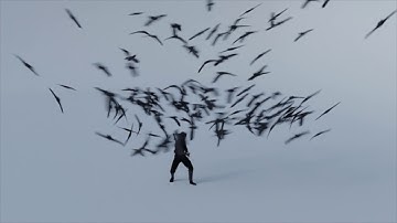 Blender 2.8 Test 13 | Boids