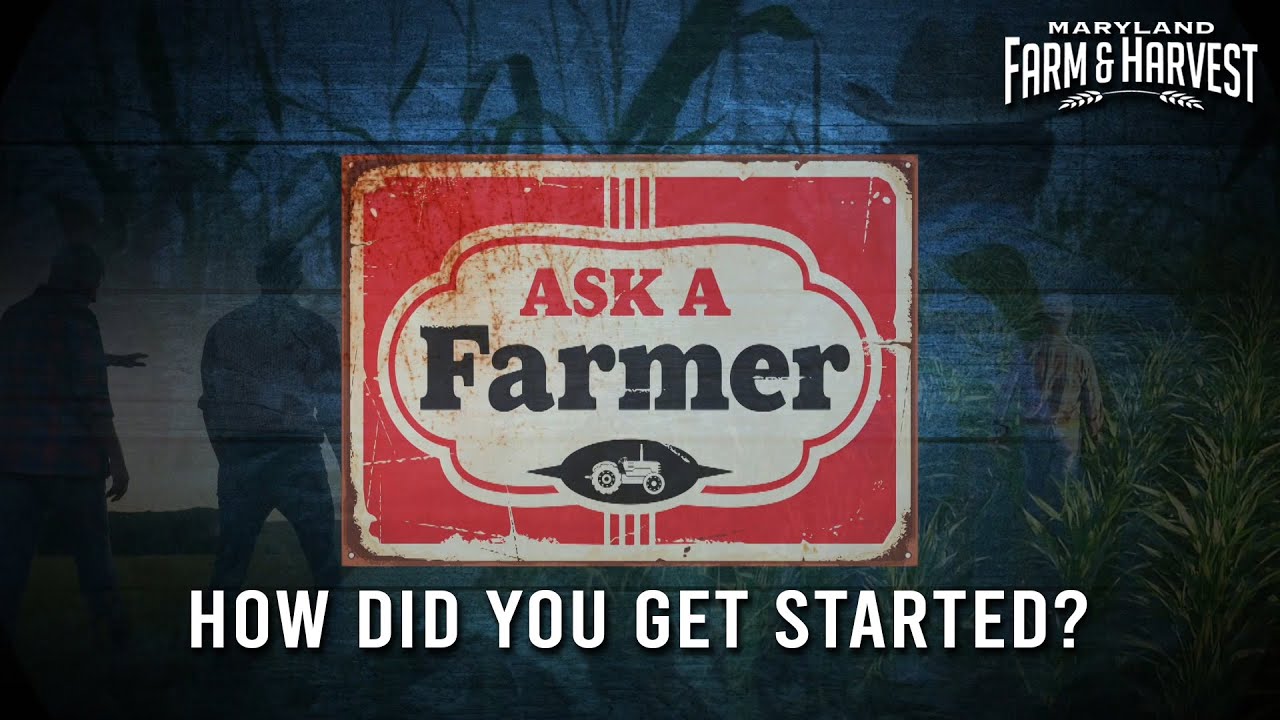 Ask a Farmer: How did you Start Farming? | Maryland Farm & Harvest