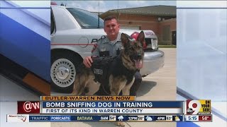 Banshee the bomb-sniffing dog starts work in Mason screenshot 3