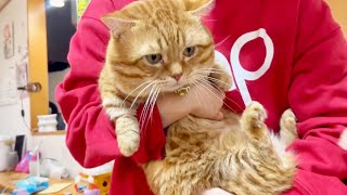 2026初体重測定!果たしてぽちゃ＆ちゃーぼー3ヶ月間ダイエットの結果は!?