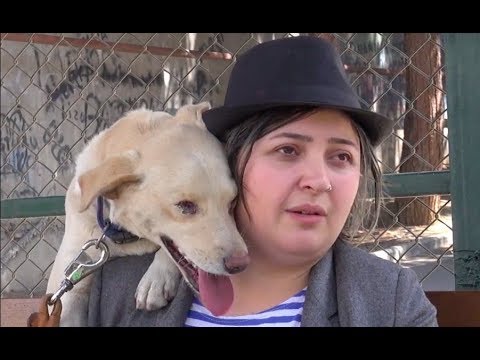 უპატრონო ცხოველების პატრონები