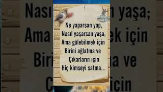 Alma Mazlumun Ahını Çıkar Aheste Aheste