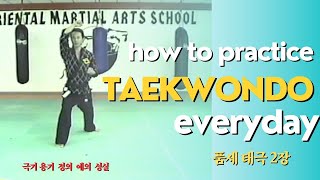 How to practice  Taekwondo everyday. Poom Sae Tae Kuk Two by Grand Master Sang Kim screenshot 3