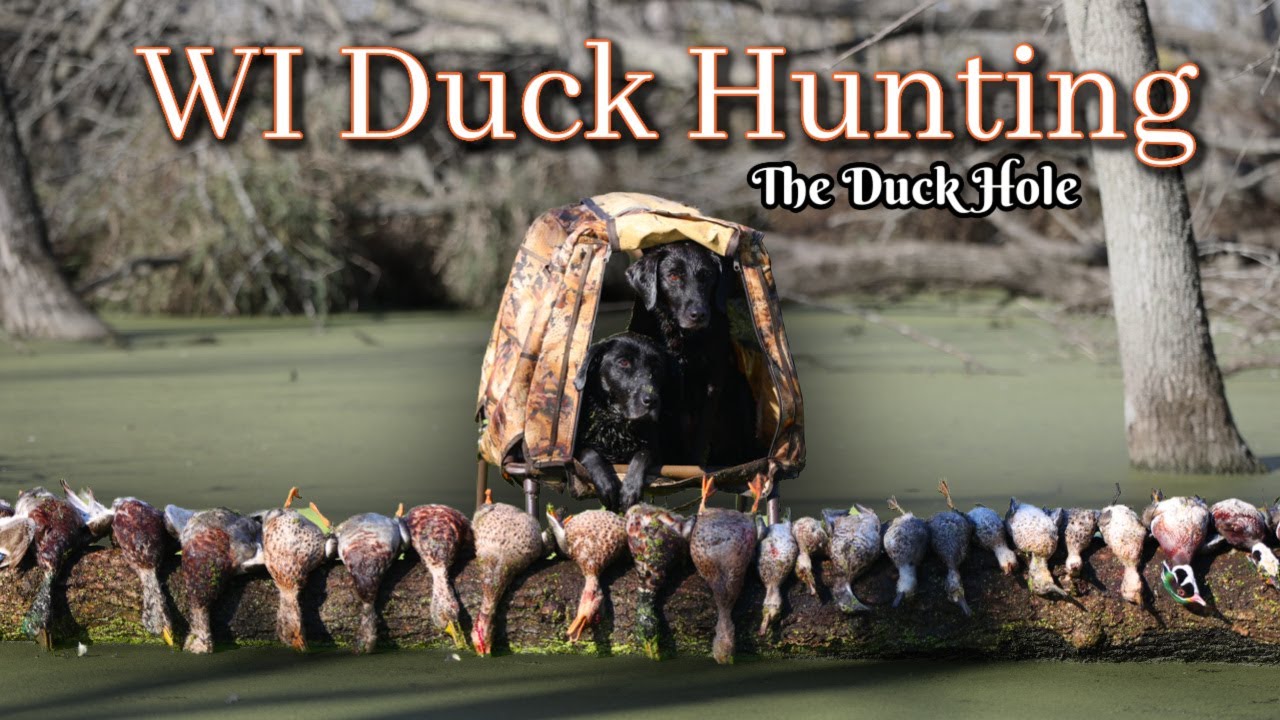 Duck Hunting Wisconsin The Duck Hole YouTube