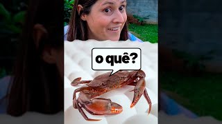 Respondendo Com Fones De Ouvido
