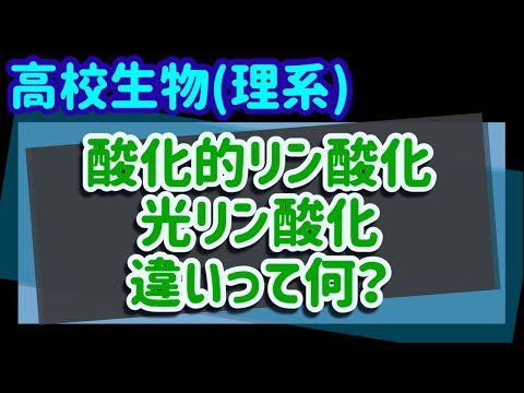 【質疑応答 001】「酸化的リン酸化と光リン酸化の違い」