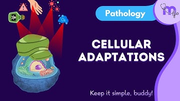Cellular Adaptations - Types , Examples | General Pathology | Animated explanation