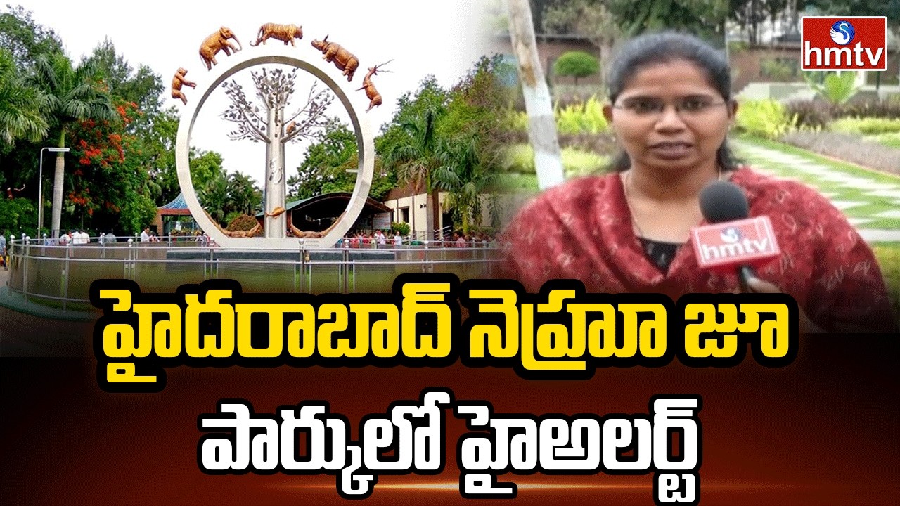 హైదరాబాద్‌ నెహ్రూ జూ పార్కులో హైఅలర్ట్‌ |  High Alert In Nehru Zoo Park | hmtv