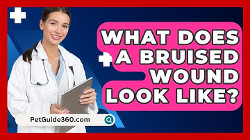 What Does A Bruised Wound Look Like? - PetGuide360.com