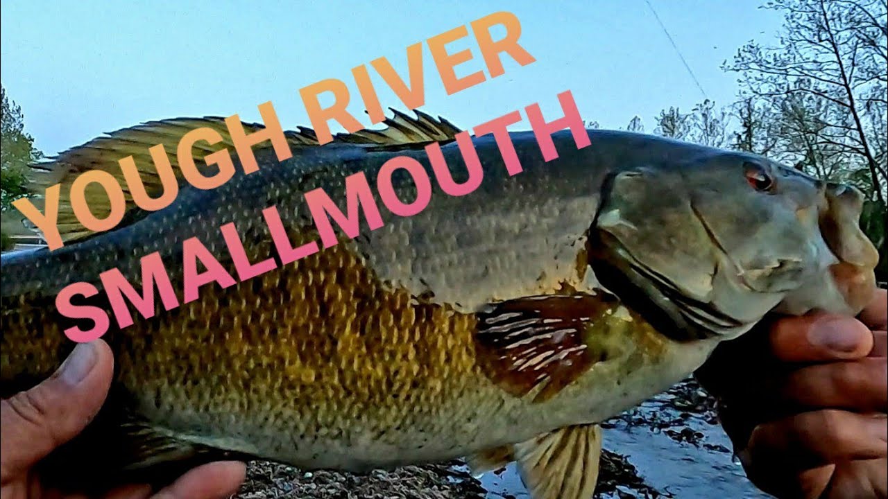 RANDOM FISHING for Smallmouth Bass at the Youghiogheny River YouTube