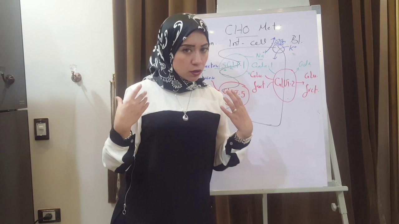 (CHO METABOLISM  Session 2)CHO Absorption